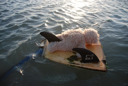 Спорт мене вимотує